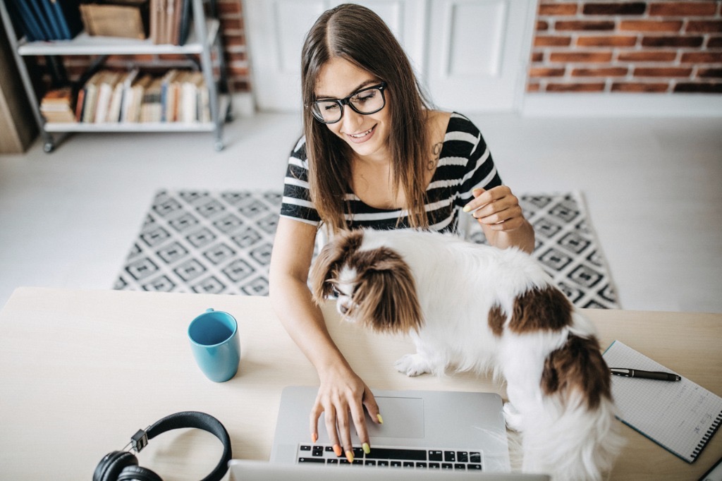 Tips for Caring for Your Pet While Working From Home